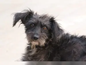Lucy – Bild 3