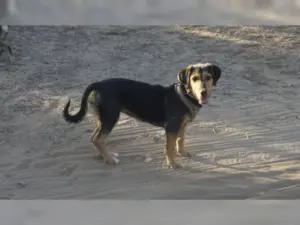 Holly – Bild 5