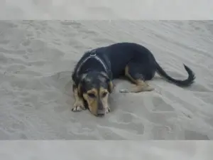 Holly – Bild 6