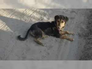 Holly – Bild 8