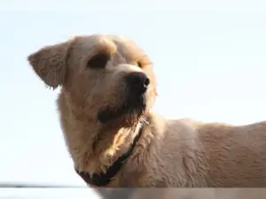 Boomer – Bild 3