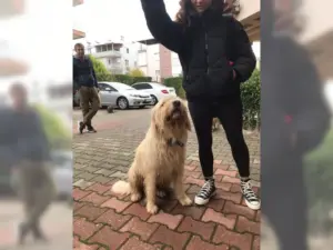 Boomer – Bild 7