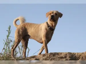 Boomer – Bild 9