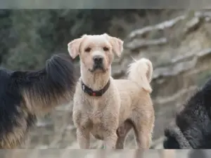 Boomer – Bild 1
