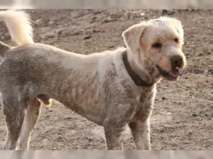 Boomer – Bild 11
