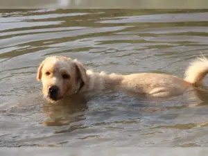 Boomer – Bild 13