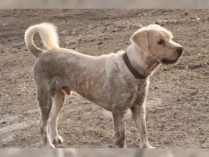 Boomer – Bild 14