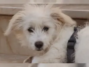 Trixie – Bild 2