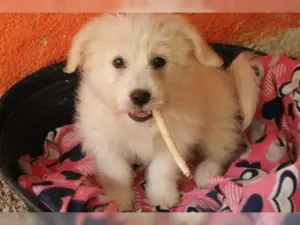 Trixie – Bild 1