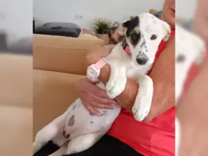 Frieda – Bild 2