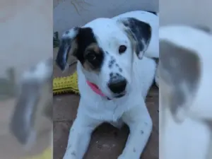 Frieda – Bild 1