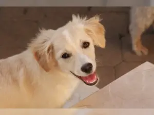 Bella – Bild 1