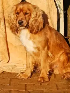 Bruno – Bild 4