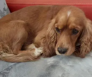 Bruno – Bild 6