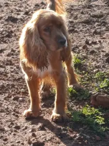 Bruno – Bild 8