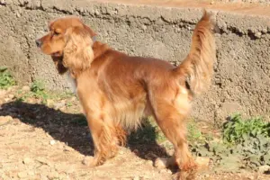 Bruno – Bild 9