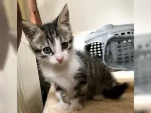 Nila – Bild 11