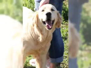 Leo – Bild 3