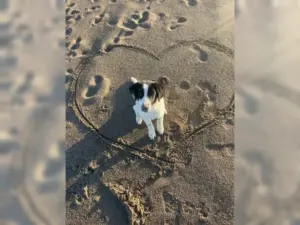 Nala – Bild 10