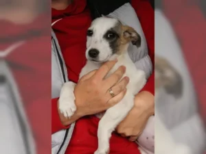 Theo – Bild 4