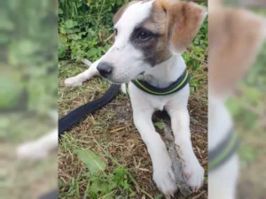 Theo – Bild 9
