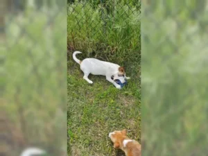 Theo – Bild 11