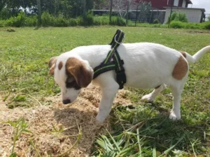 Theo – Bild 13