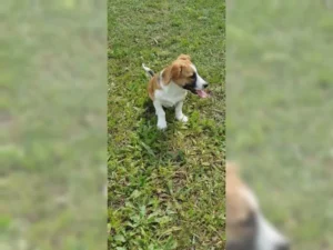Lissy – Bild 11