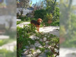 Melli – Bild 3