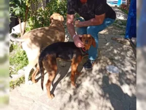 Melli – Bild 6