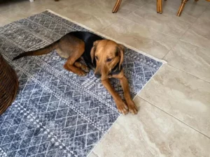 Melli – Bild 9