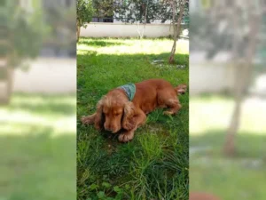Pascha – Bild 4