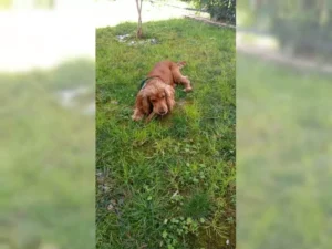 Pascha – Bild 5