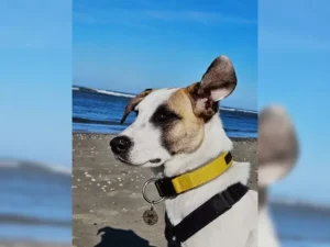 Theo – Bild 17
