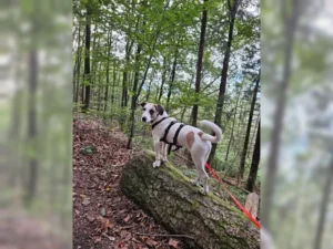 Theo – Bild 23