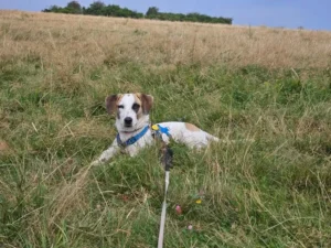 Theo – Bild 25
