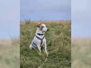 Theo – Bild 26