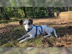 Theo – Bild 29