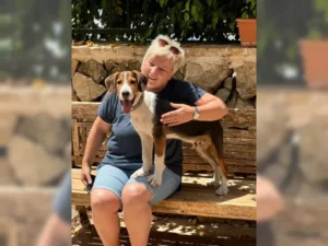 Barky – Bild 9