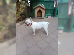 Arya – Bild 5