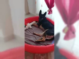 Lexi – Bild 3