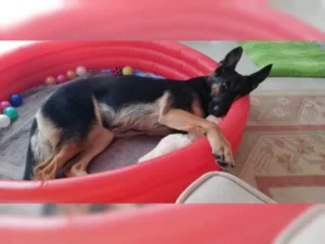 Lexi – Bild 6