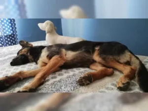 Lexi – Bild 7