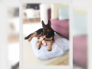 Lexi – Bild 8