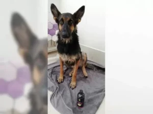 Lexi – Bild 9