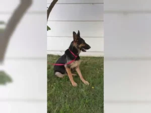 Lexi – Bild 10
