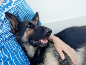Lexi – Bild 1