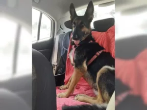 Lexi – Bild 12