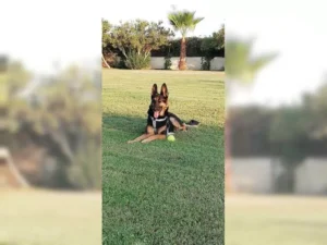 Lexi – Bild 15