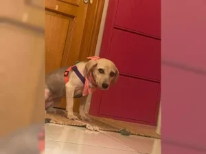 Lilly – Bild 3